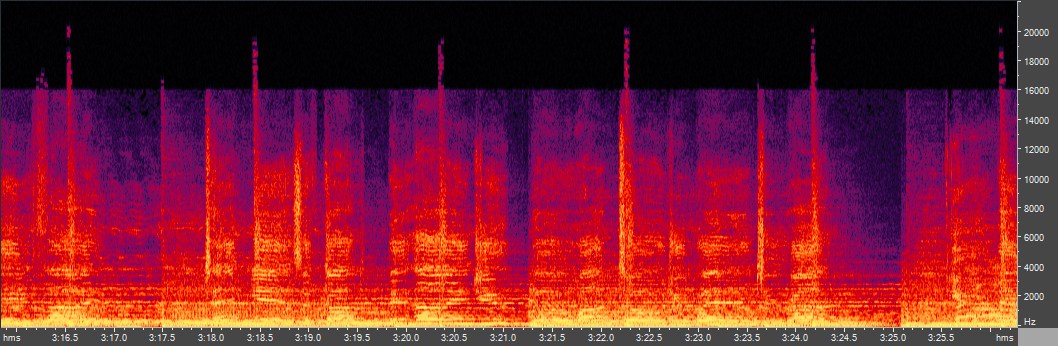 Спектрограмма Fraunhofer MP3 Encoder, CBR 320 kbps (highest, join stereo)